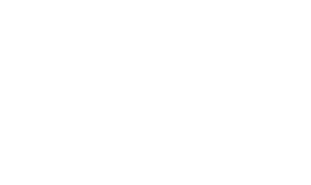 Four Elements Risk Asset Management